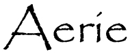 Aerie Login